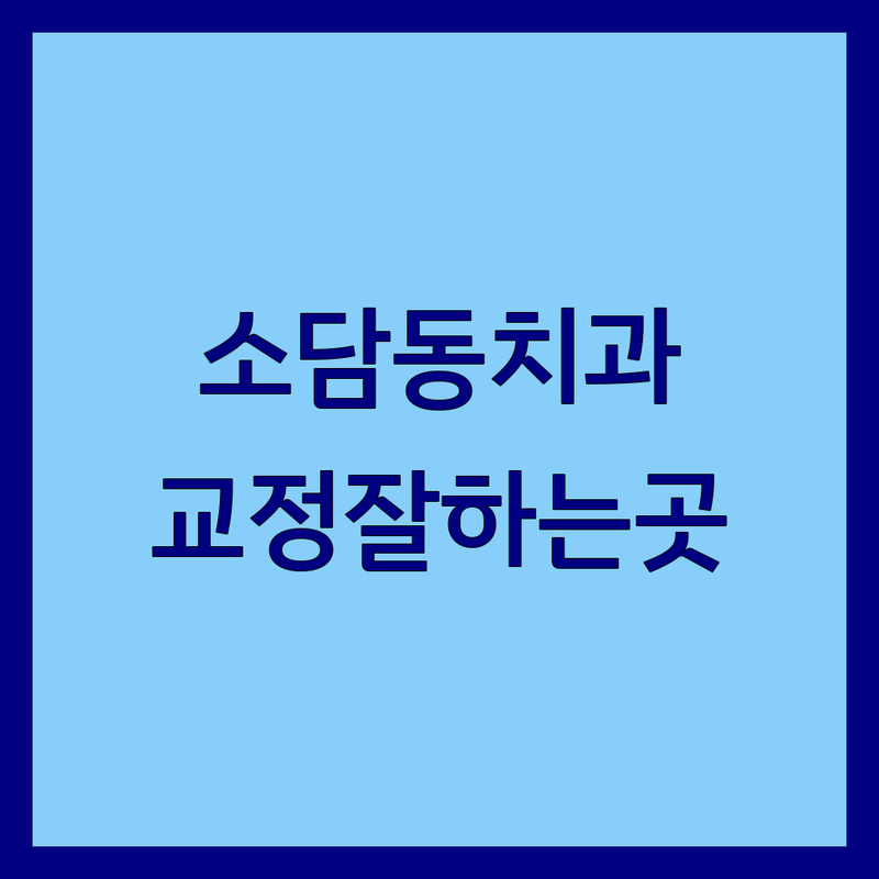 세종시 소담동 교정치과 저렴한 곳 가격싼 곳 업체 추천 | 치아교정 임플란트 비용 가격 잘하는 곳 | 성인교정 소아교정 부분교정 | 정품재료 사용 통증관리 | 친절한 상담 야간진료 주말진료