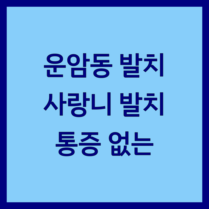 광주 운암동 발치 치과 저렴한 곳 가격싼 곳 업체 추천 | 사랑니 발치 비용 가격 잘하는 곳 | 매복 사랑니 일반 발치 | 통증 없는 발치 야간 진료 | 당일 발치 주차 가능